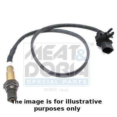 Oxygen Sensor